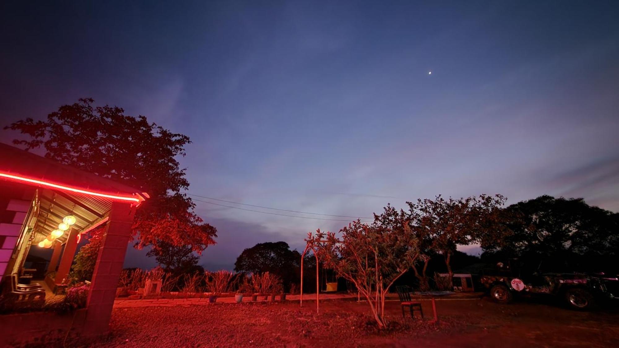 Junglee Nest & Huts